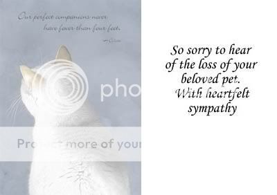 sympathy card for loss of pet