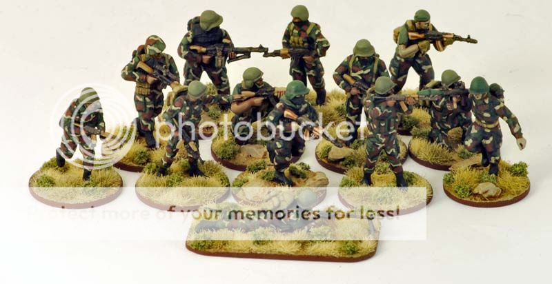 photo gruntz3.jpg