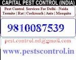 Pest Control