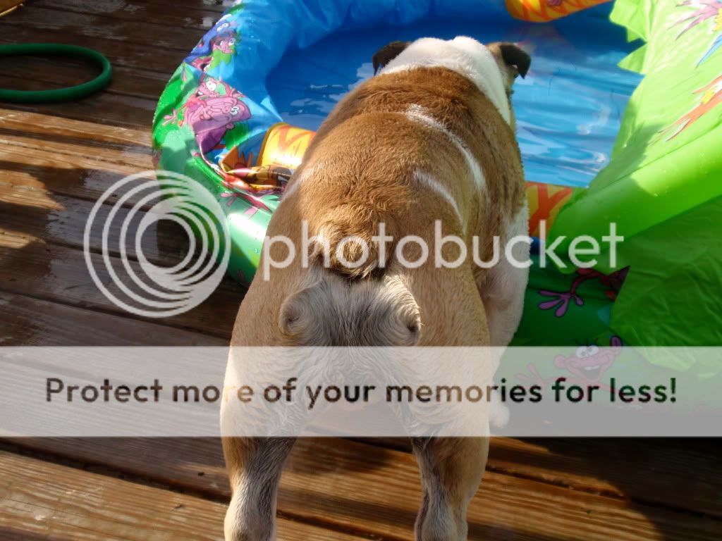 [linked image]