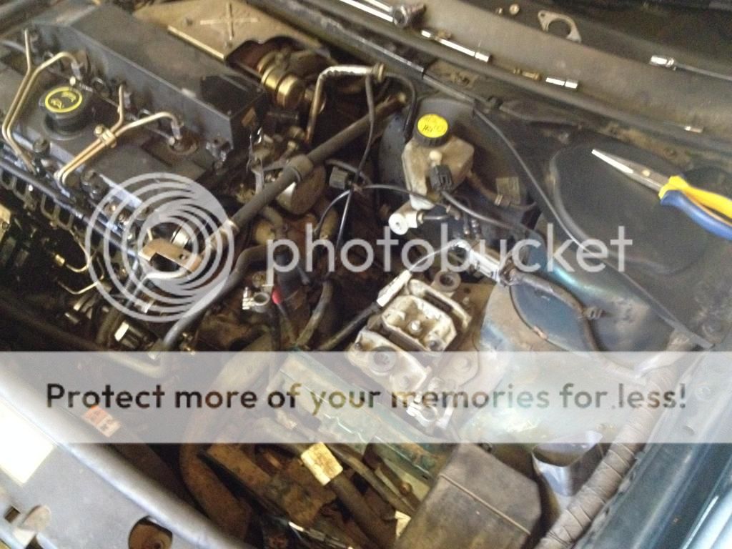 Posted Image